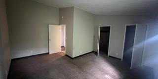 141 Bradley Street - 1 Gallery 8