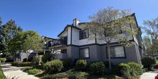 Gladstone Ridge Gallery 5