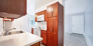 The Canopy Gallery 22