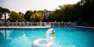 Haven at Birkdale Village Gallery 30