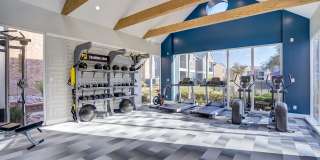 Renew Midland Gallery 12