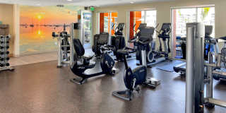 Harborside Marina Bay Gallery 11