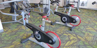 Lumien at Fitzsimons Gallery 5