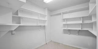 3161 Tanglewood Trail Gallery 6