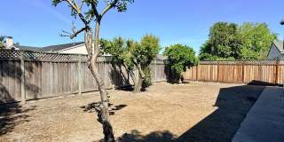 6063 Pineland Avenue Gallery 15