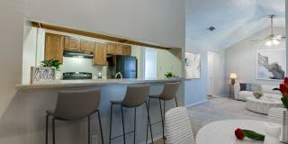 Towne Centre Village Gallery 5