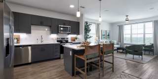 Local Dripping Springs Local Dripping Springs Gallery 12