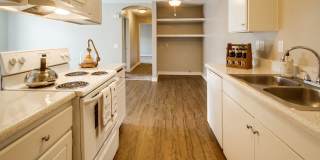 Las Ventanas Gallery 15