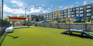 The Lucile Gallery 37