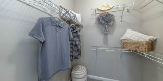 Elevate 155 Gallery 11