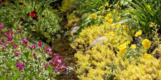 111 S Sixth Street Gallery 43