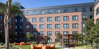 Orlo & Alba Gallery 11