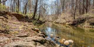 Beautiful 2 bedroom 2.5 bath Townhome in Carrboro Gallery 10