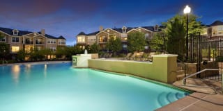 Lowry Park Gallery 15