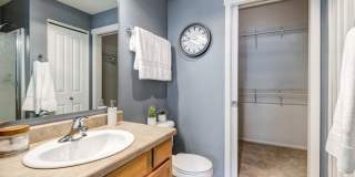 Apex Apartments Gallery 10