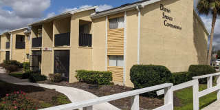 Quiet 1 bed /1 bath condo in desirable neighborhood Gallery 1