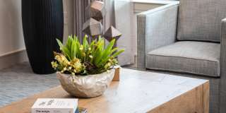 Emory West Cypress Gallery 15