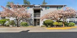 Spinnaker Apartments Gallery 37