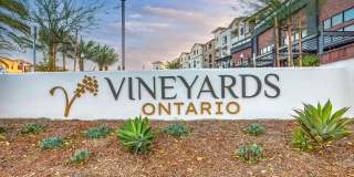 Vineyards Gallery 111