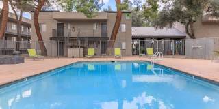 Treehouse Apartments Gallery 27