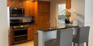 10 PAPAYA STREET Gallery 9