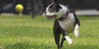 Camden Woodmill Creek Gallery 47