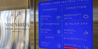 Vineyards Gallery 109