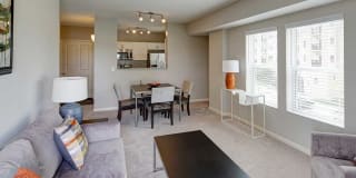 AMLI at Seven Bridges Gallery 10