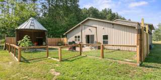 One Level Country Living! 2bd, 1ba, 2 acres Gallery 1