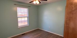 Now Available! Gorgeous Walkout Basement Home with a Pool, Ozark Gallery 17