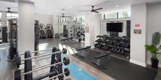 The Upton Gallery 17