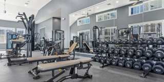 Avalon Garden City Gallery 29