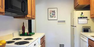 3336 WEBLEY CT Gallery 7