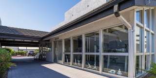 Lion Tempe Gallery 8