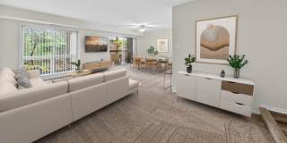 The Forest Apartments Gallery 2