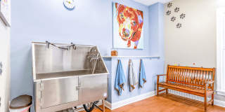 Affordable Housing - Elan at Mallard Creek Apartment Homes Gallery 50