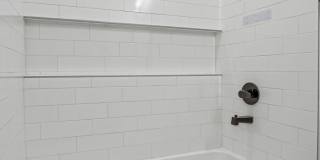 4512 Mark Avizo Gallery 38