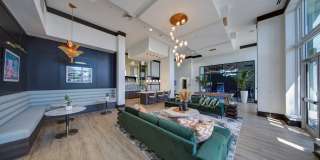 Navette on the Bay Gallery 25