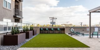 CityScape Gallery 11