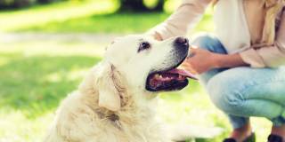 Fairview Crossing Gallery 15