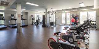 The Victor Stonebridge Gallery 6