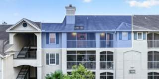 Pristine in PVB Gallery 26