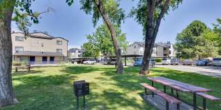 Cottonwood Creek Gallery 16