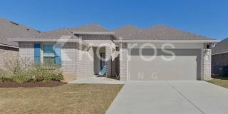 417 Mango Drive Gallery 1