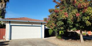 No Deposit Gallery 1