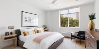 The Duchess Gallery 5