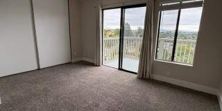 6165 Carling Way Gallery 13