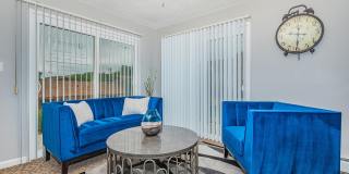 Paloma Terrace Gallery 12