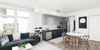 Sundodger Gallery 16