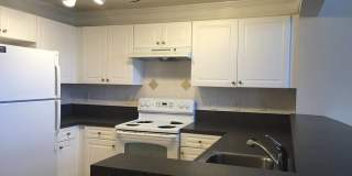 Emerson at Cherry Lane Gallery 47